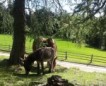 Camminata al Lago di Rina