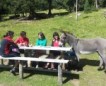 Wanderung zum Glittner See