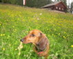 Unterwegs mit Gaia
