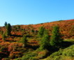 Wanderung zum Glittner See