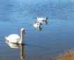 Wanderung zum Glittner See