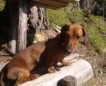 Unterwegs mit Gaia