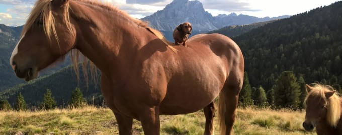 Impressioni di estate