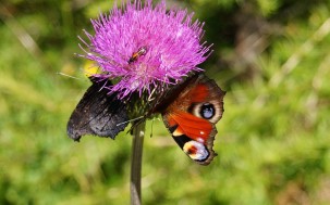 Ausflug zum Glittner See