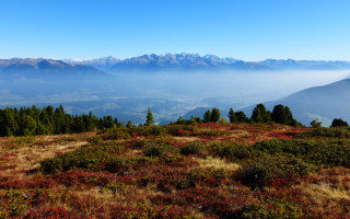 Aperto fino 6 novembre