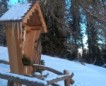 Winter 2016-2017