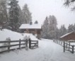 Winter 2016-2017