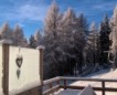 Winter 2016-2017