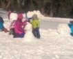 Winter 2016-2017