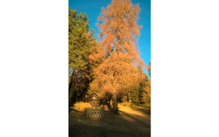 Autunno in mille colori