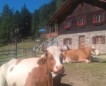 Sommer 2018