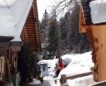 Winter/Frühjahr 2018