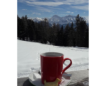 Winter/Frühjahr 2018
