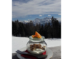 Winter/Frühjahr 2018