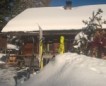 Winter/Frühjahr 2018