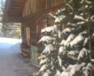 Winter/Frühjahr 2018