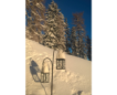 Winter/Frühjahr 2018