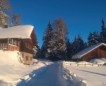 Winter/Frühjahr 2018