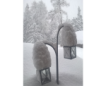 Winter/Frühjahr 2018