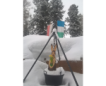Winter/Frühjahr 2018