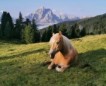 Sommer 2023
