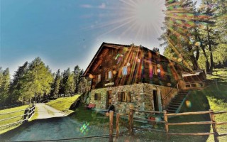 Hinauf auf die Alm ab 24. Mai